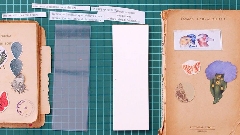 Estos son los principales materiales que necesitarás pata componer tu separador