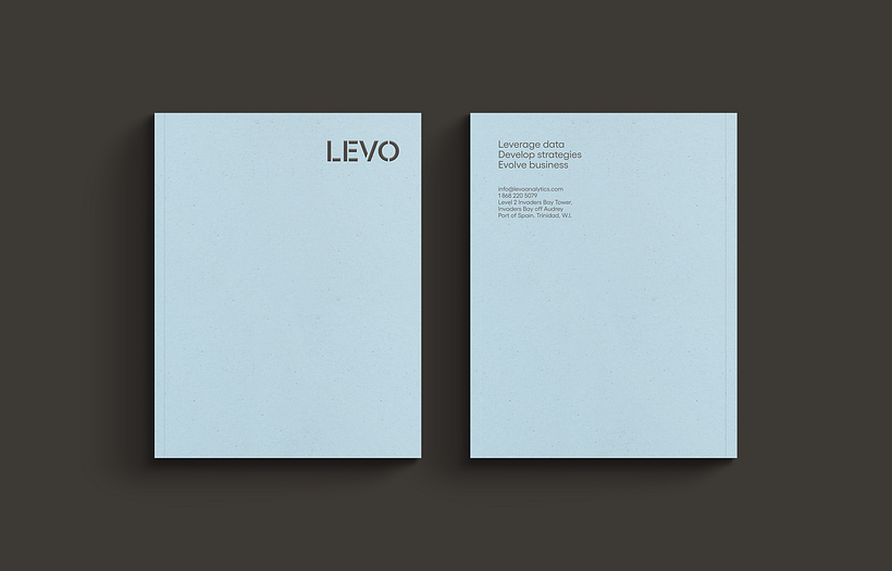Levo Analytics 4