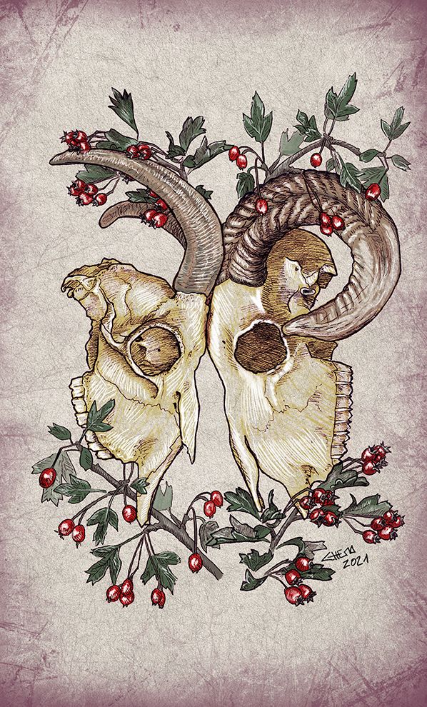 Irreconcilable differences -1