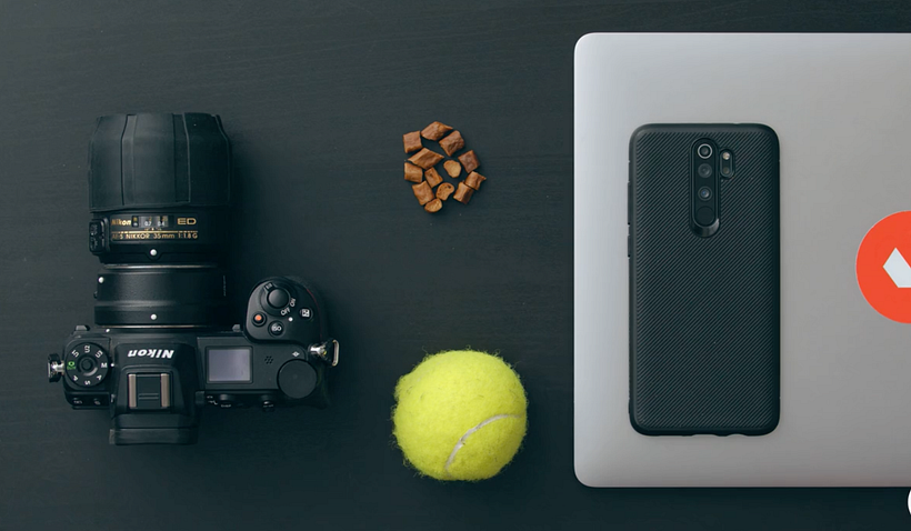 The elements you need to take good photos of a dog.