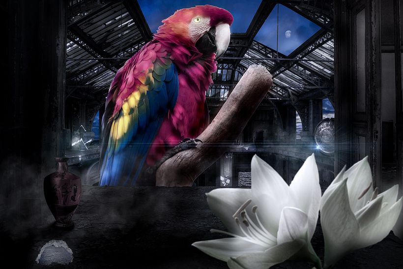 Resultado final del proyecto