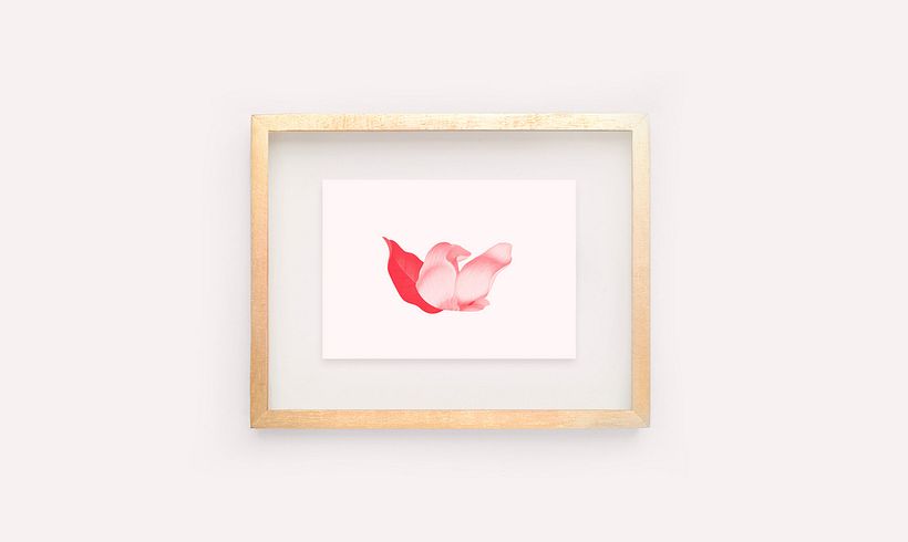 Flora 6