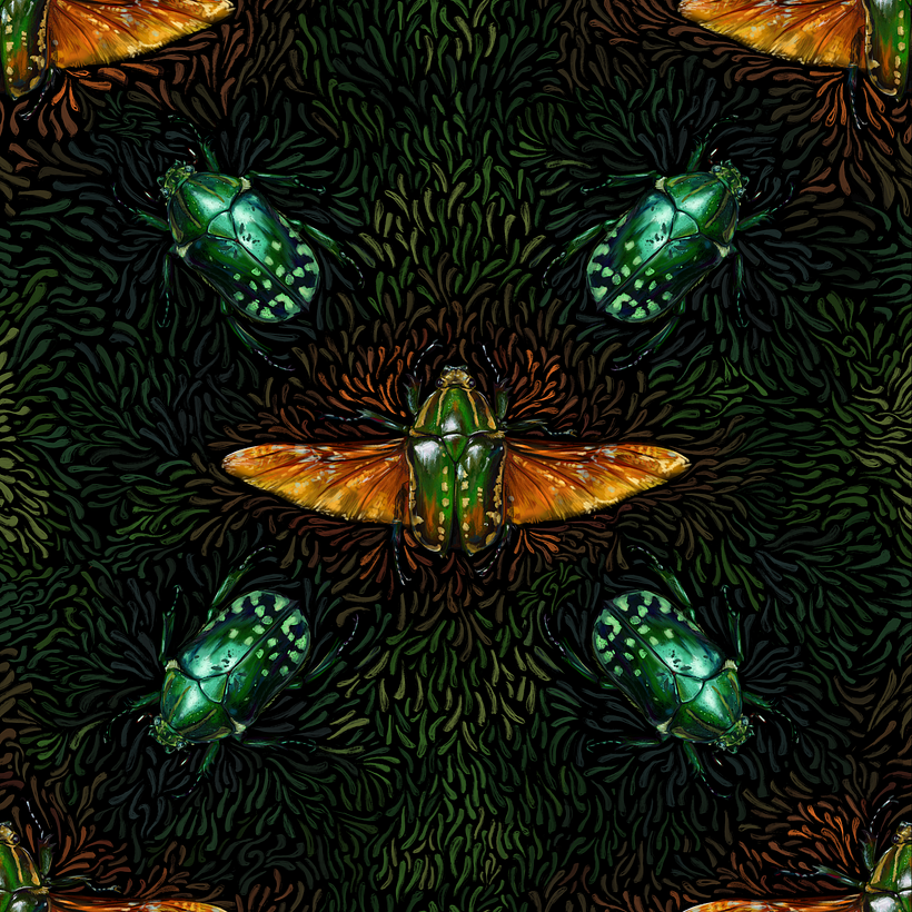 My project in Scientific Illustration for Pattern Design course 0