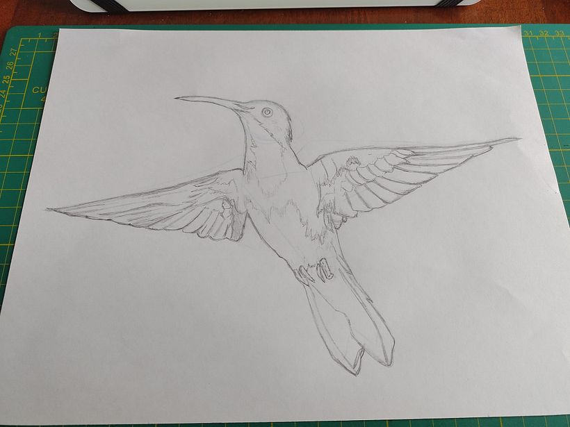 Mi Proyecto del curso: Ilustración naturalista de aves con acuarela: Colibrí 2