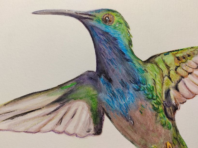 Detalles en primer plano