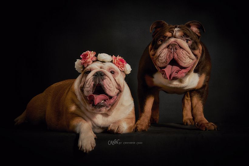 Una bella pareja juntos por siempre 