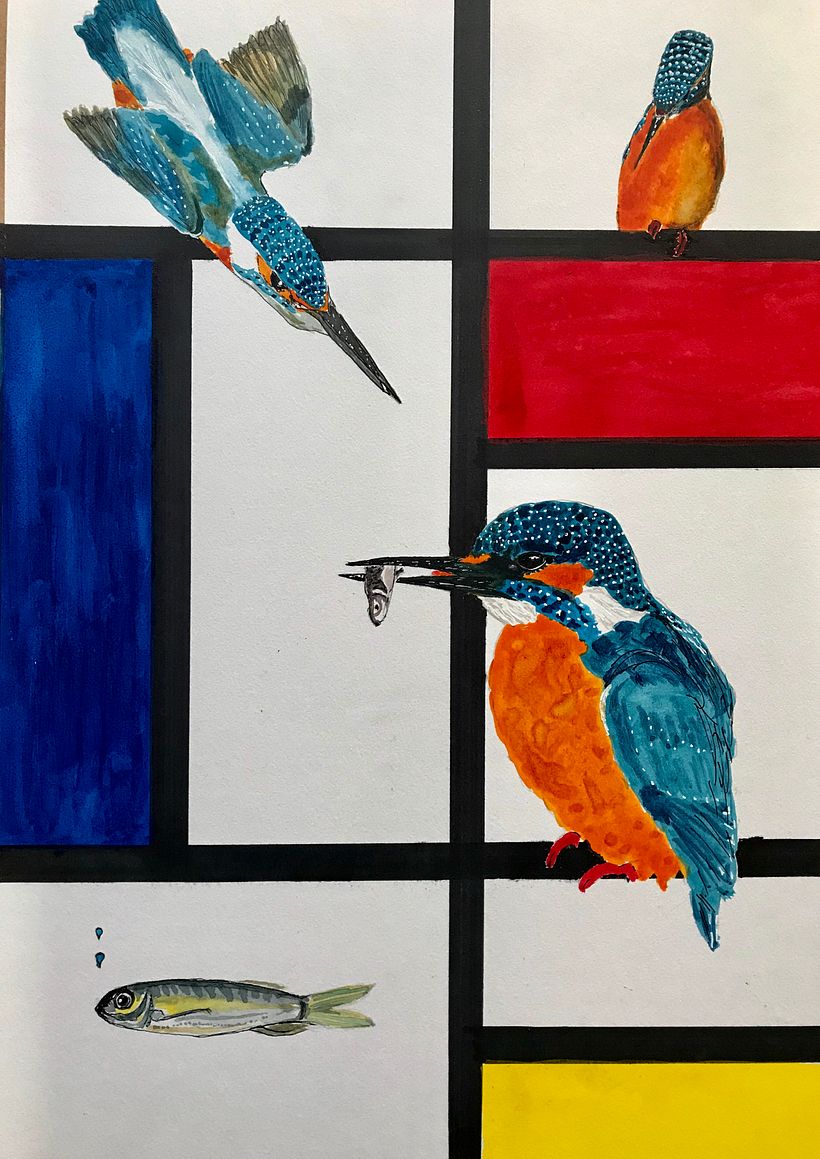 A number of kingfisher shots combined into one tableau