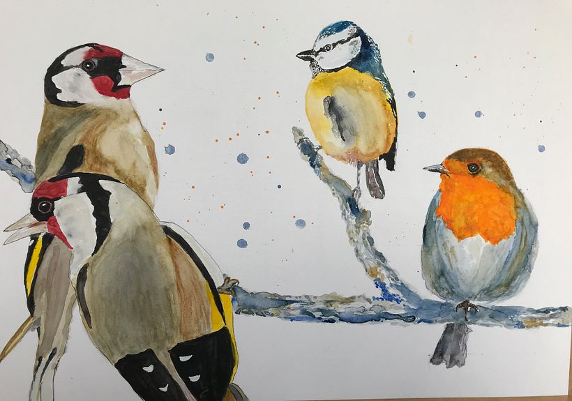 The course birds, plus a pair of goldfinches from my bird feeder