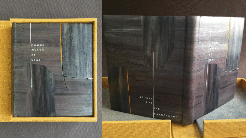 A selection of binding projects by Susana Domínguez.