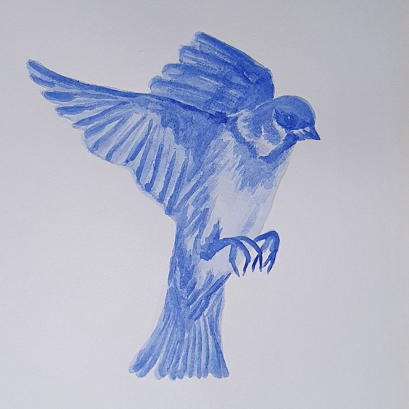 My project in Experimental Watercolor Techniques for Beginners course 3