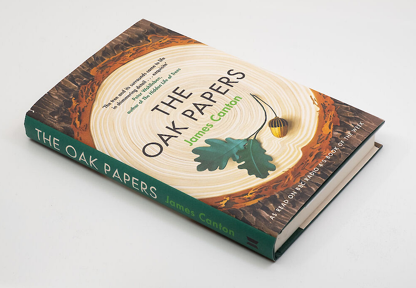 The Oak Papers  1