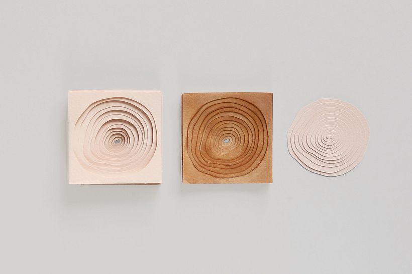 The Oak Papers  3