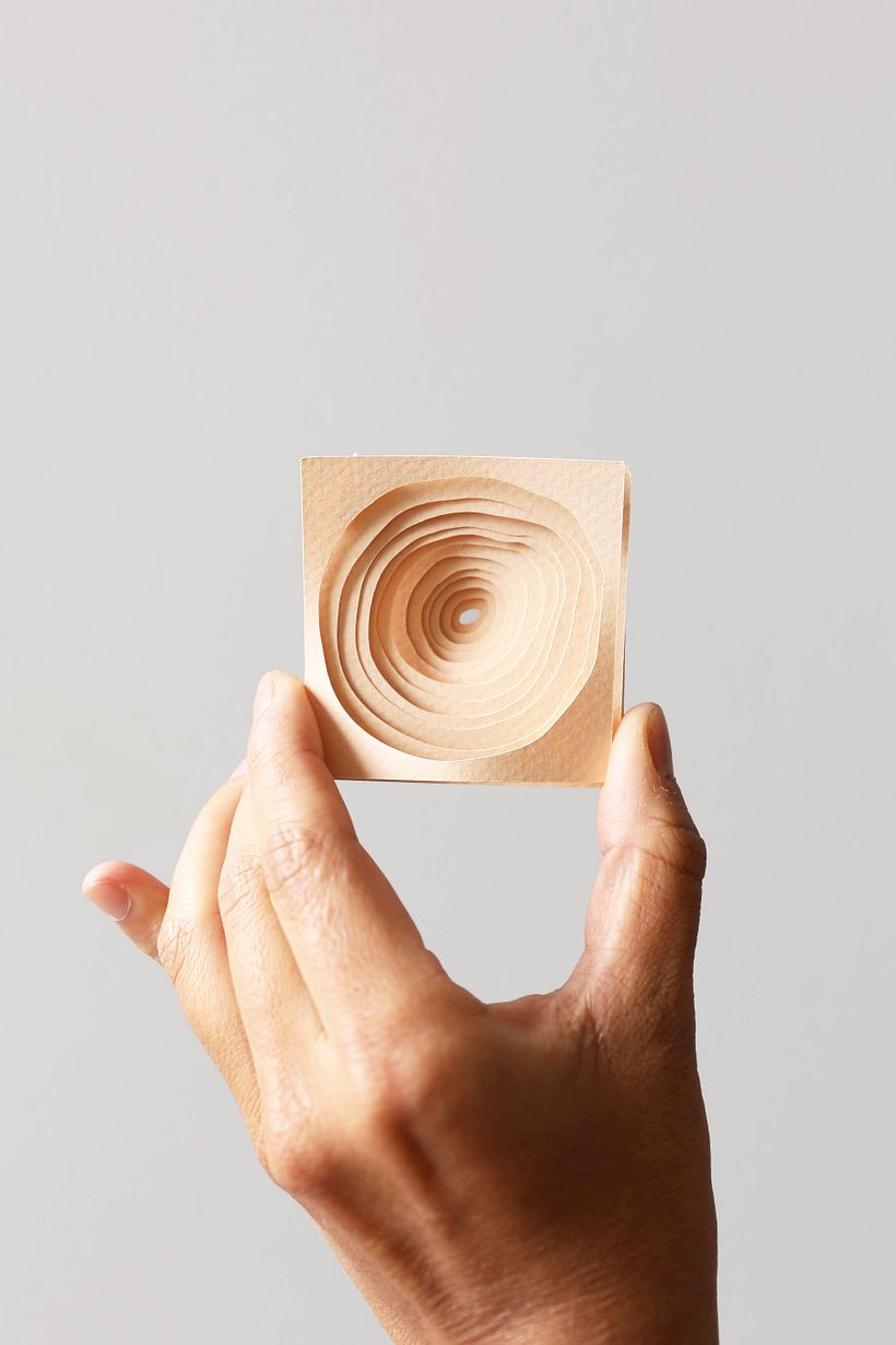 The Oak Papers  4