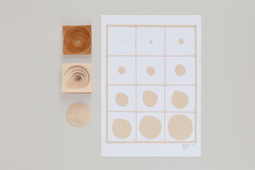 The Oak Papers  2