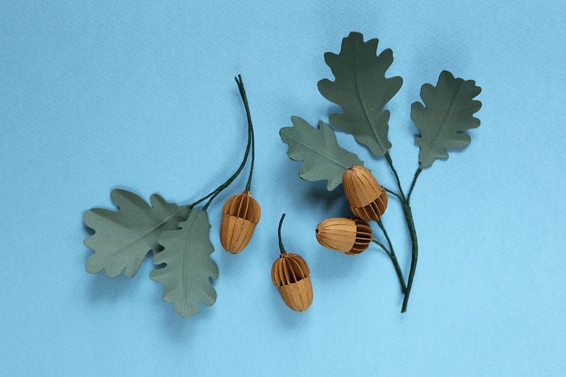 The Oak Papers  7