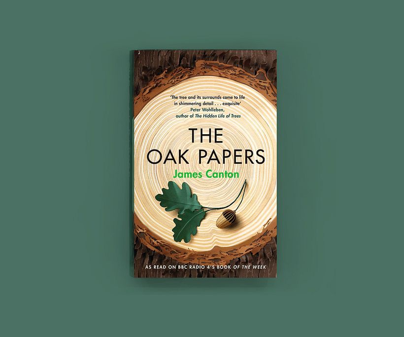 The Oak Papers  10
