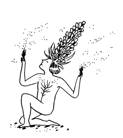 Ilustraciones para Humos.cl 1