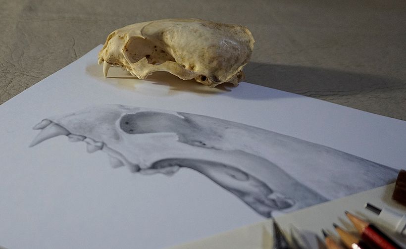 Material de referencia y trabajo en proceso.