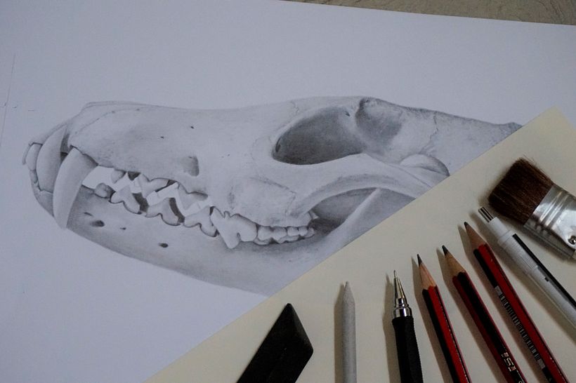 Trabajo en proceso. 