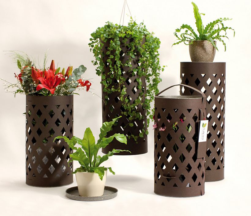 Packaging para ramo de flores con multi-funccionalidad