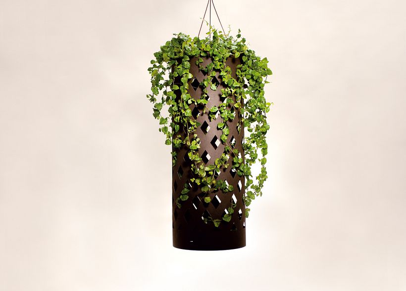 En celosía para las plantas