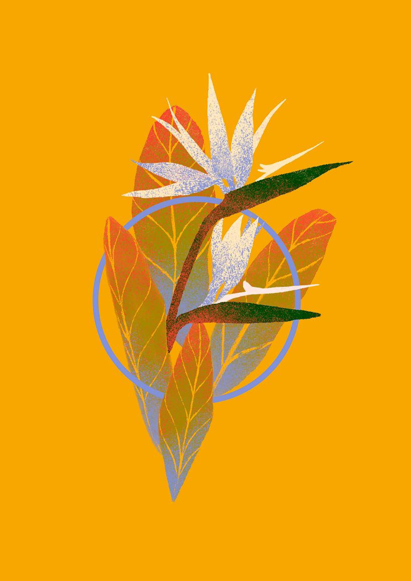 Mi Proyecto del curso: Ilustración flat con Photoshop 2