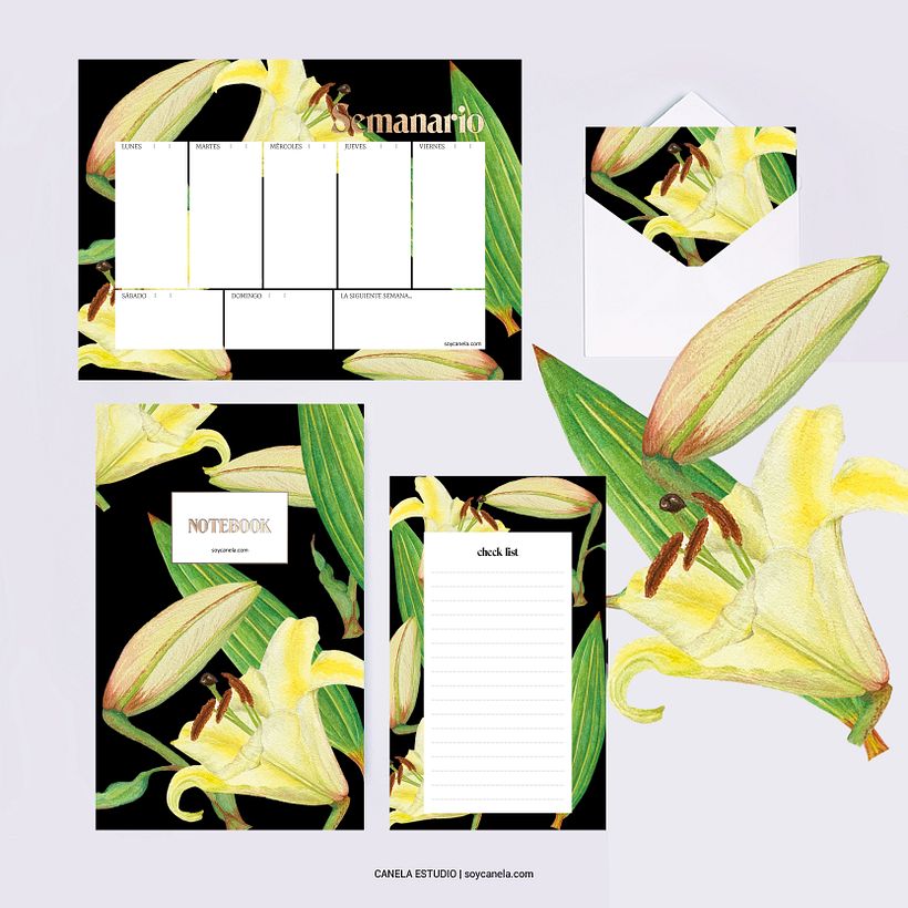 My project in Botanical Illustration with Watercolors course -1