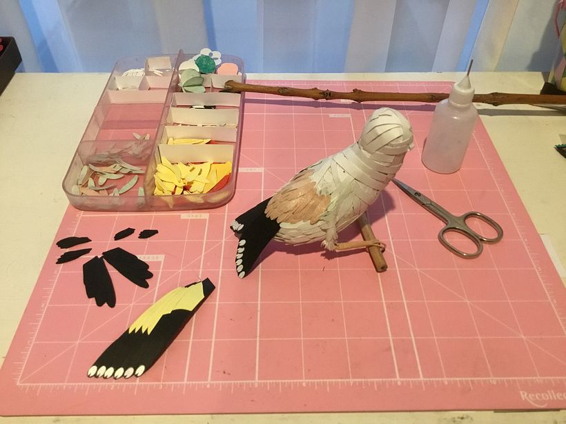 Tomando forma con el pegado de plumas
