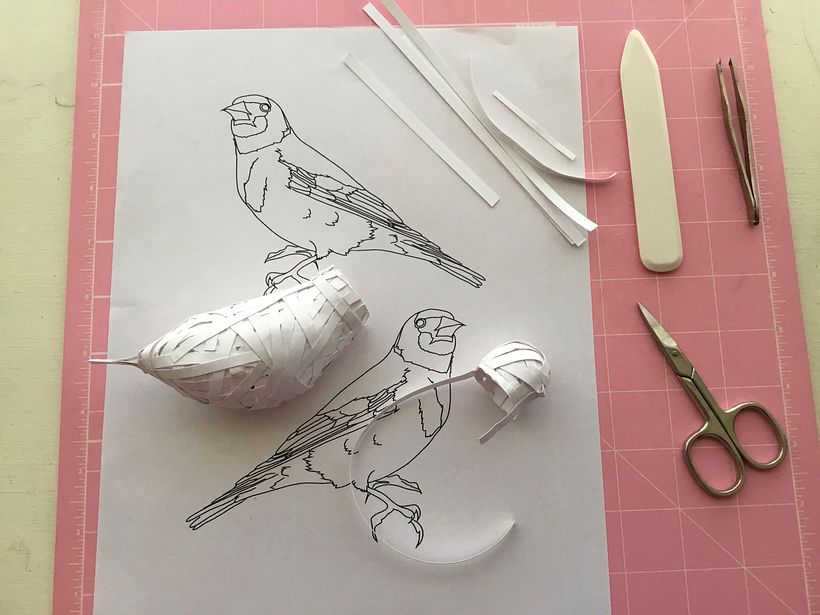 Armado de estructura del pajarito