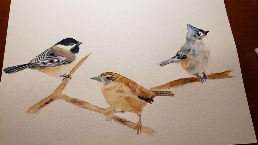 Bird composition 1 0