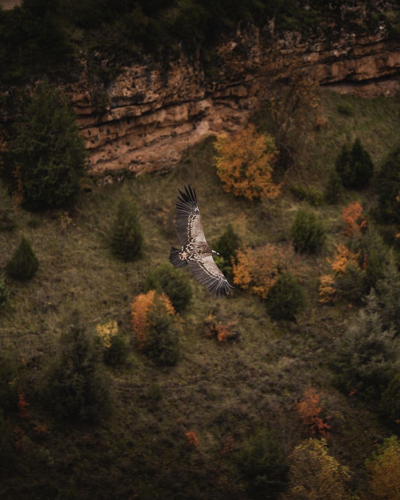 Fotografia de um objeto em um ambiente natural.