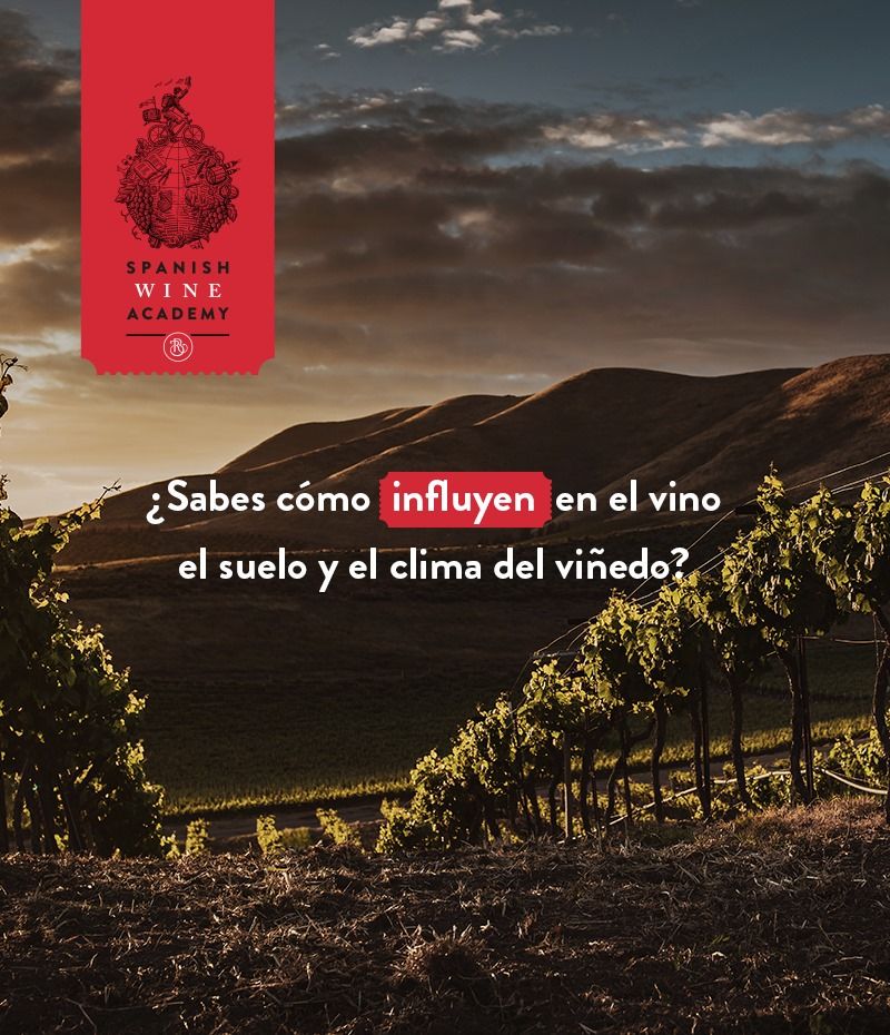 SPANISH WINE ACADEMY 20