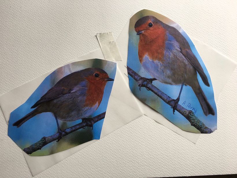Choosing the robins in the branch