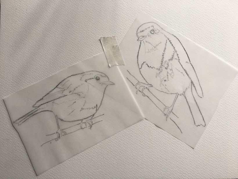 My project painting Birds  3