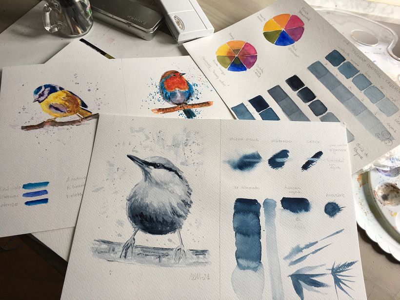 Checking the colors and options