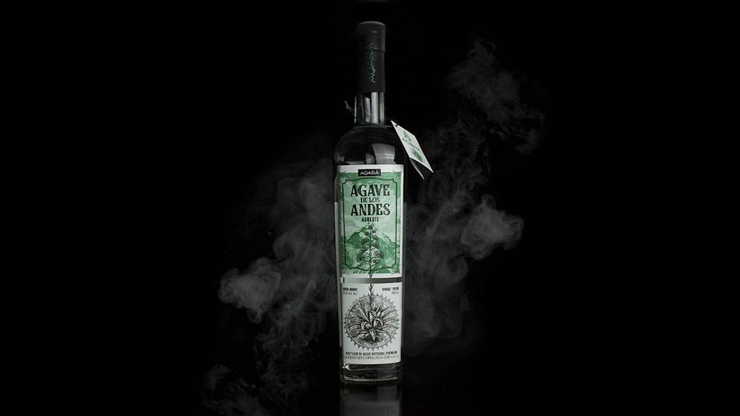 Agave de los Andes 1