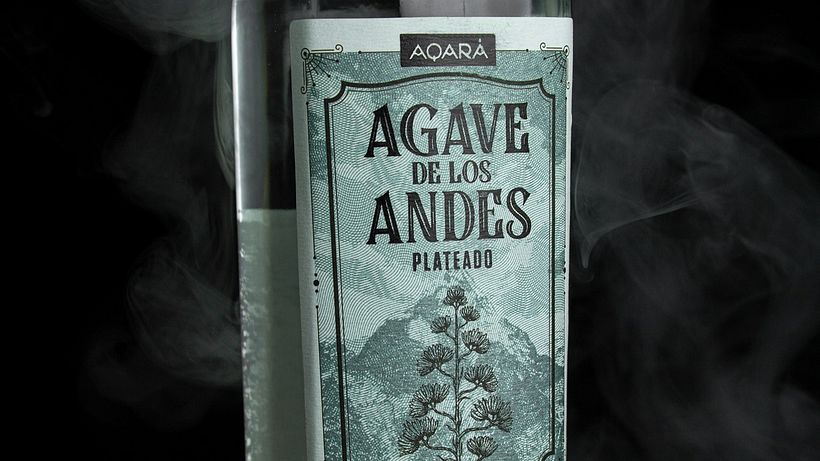 Agave de los Andes 3