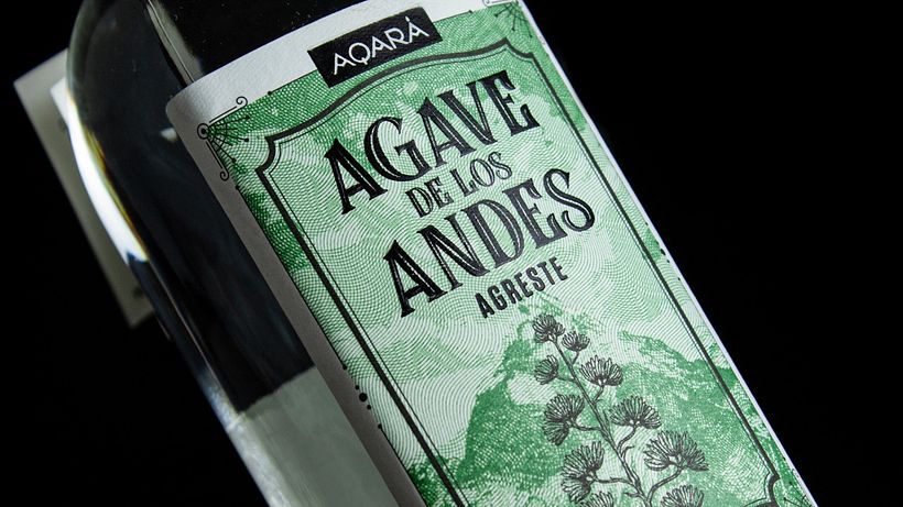 Agave de los Andes 4