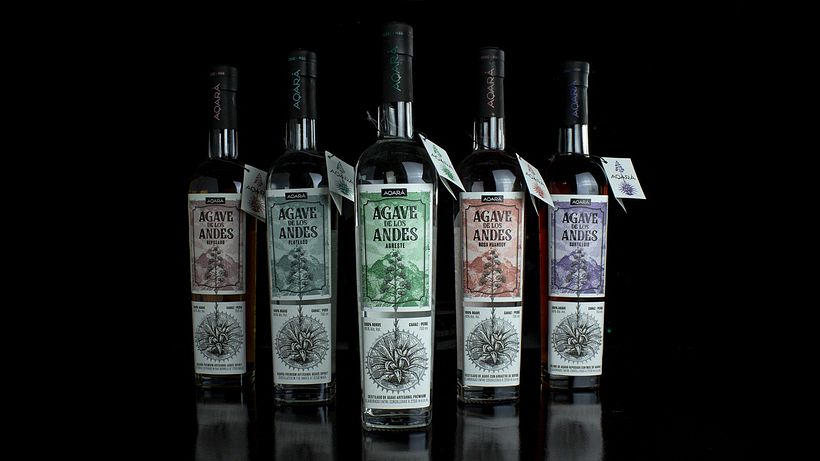 Agave de los Andes 0