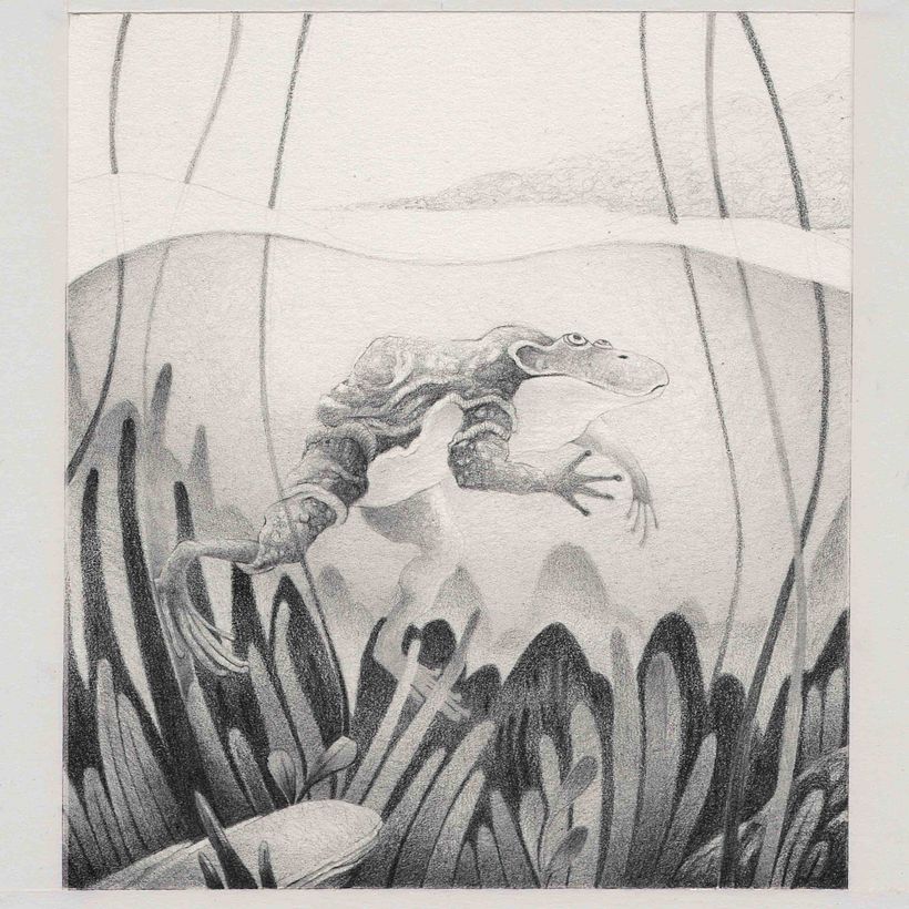 Lo difícil de esta ilustración es que el objeto se encuentra bajo el agua. 