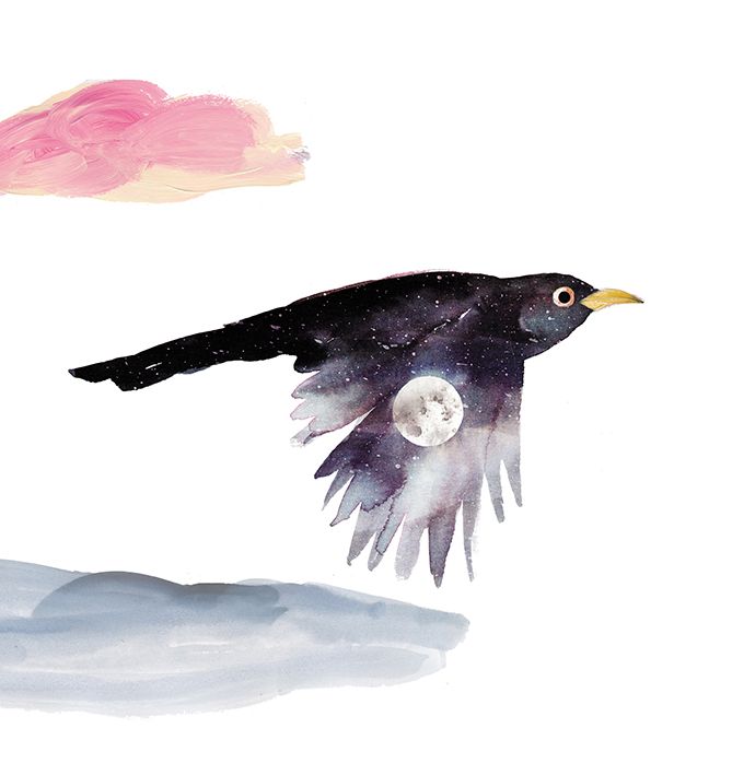 Premières neiges 12