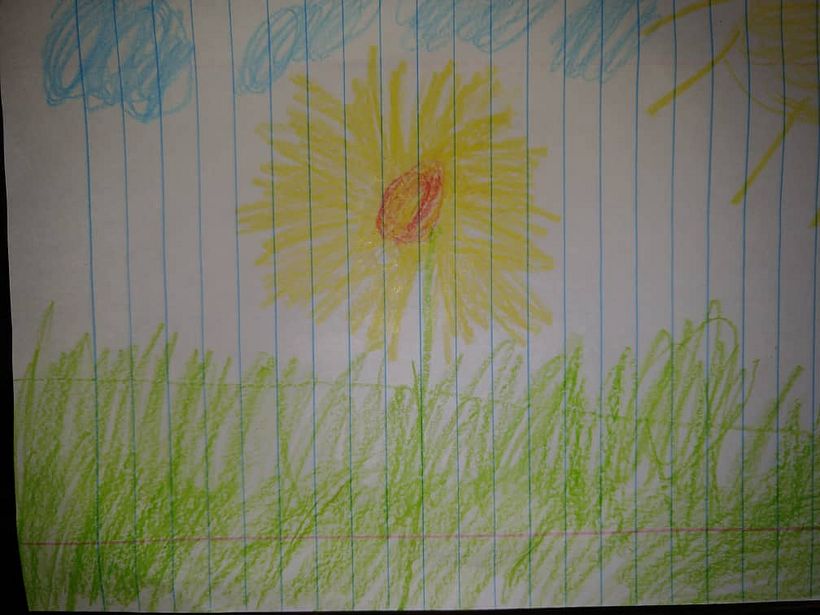 Busco dibujos hechos por niñas y niños 3