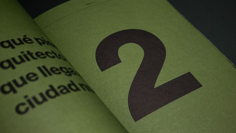 Libro ViccaVerde 5