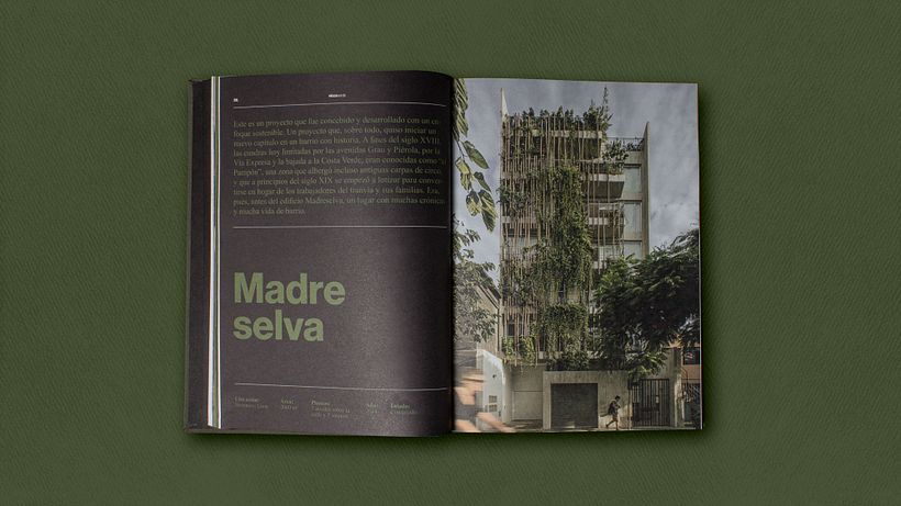 Libro ViccaVerde 11