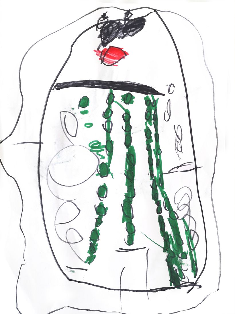 Busco dibujos hechos por niñas y niños 6
