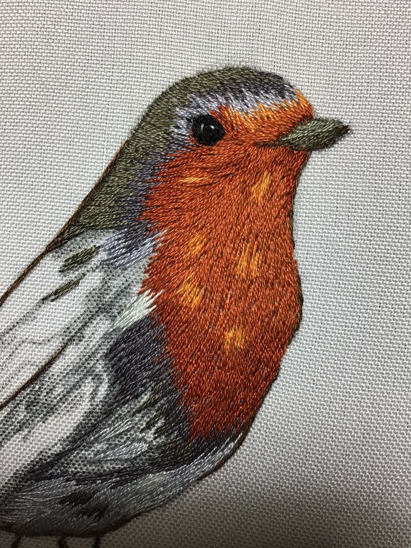 Mi Proyecto del curso: Pintar con hilo: técnicas de ilustración textil 5