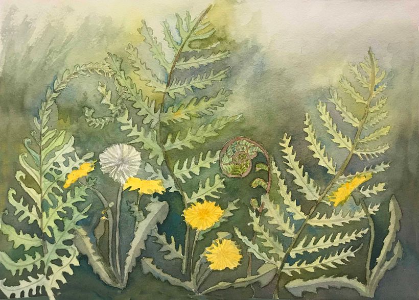Dandelions and Ferns