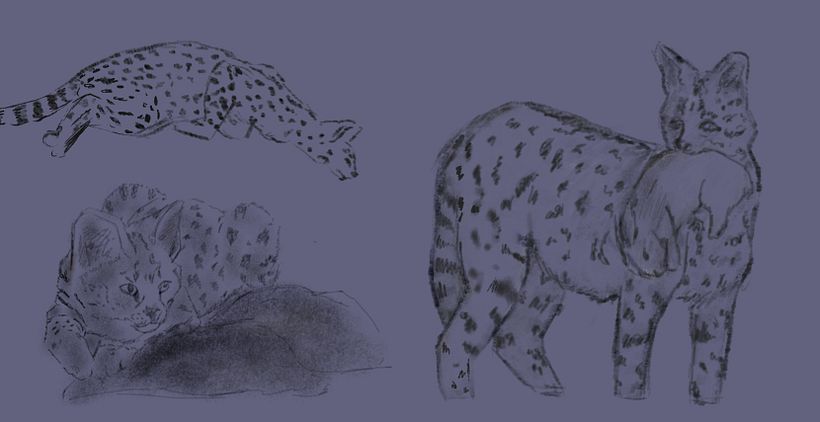 My project in Naturalist Animal Illustration with Procreate course 3