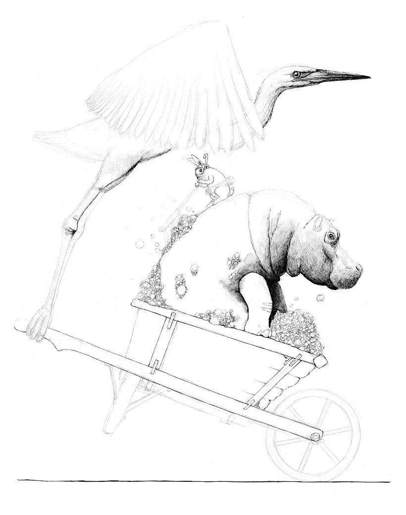 Stages of the final project from my course 1