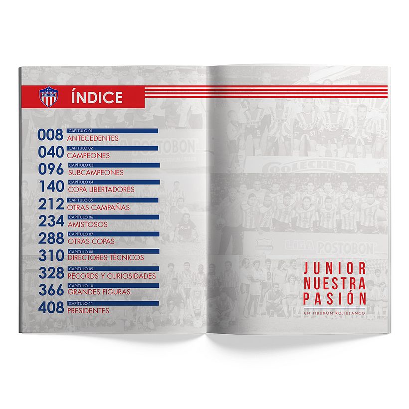 Mi Proyecto del curso: Diseño editorial automatizado con Adobe InDesign -1